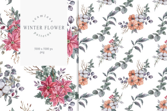 Christmas Poinsettia Seamless Patterns for Illustrations